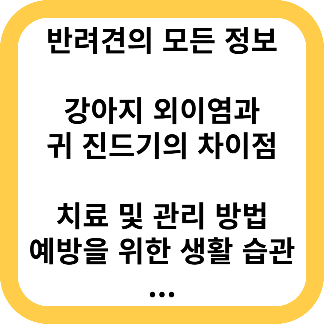 강아지 외이염과 귀 진드기의 차이점