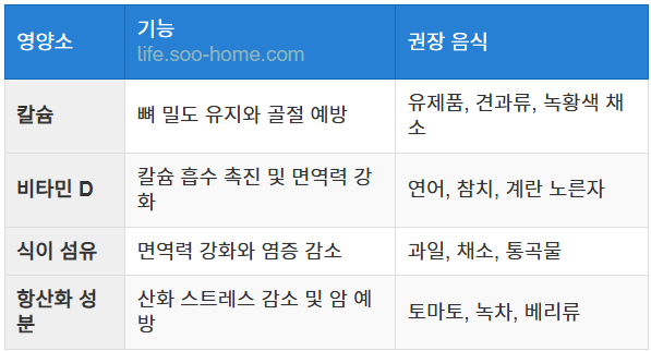 영양 관리와 뼈 건강 유지