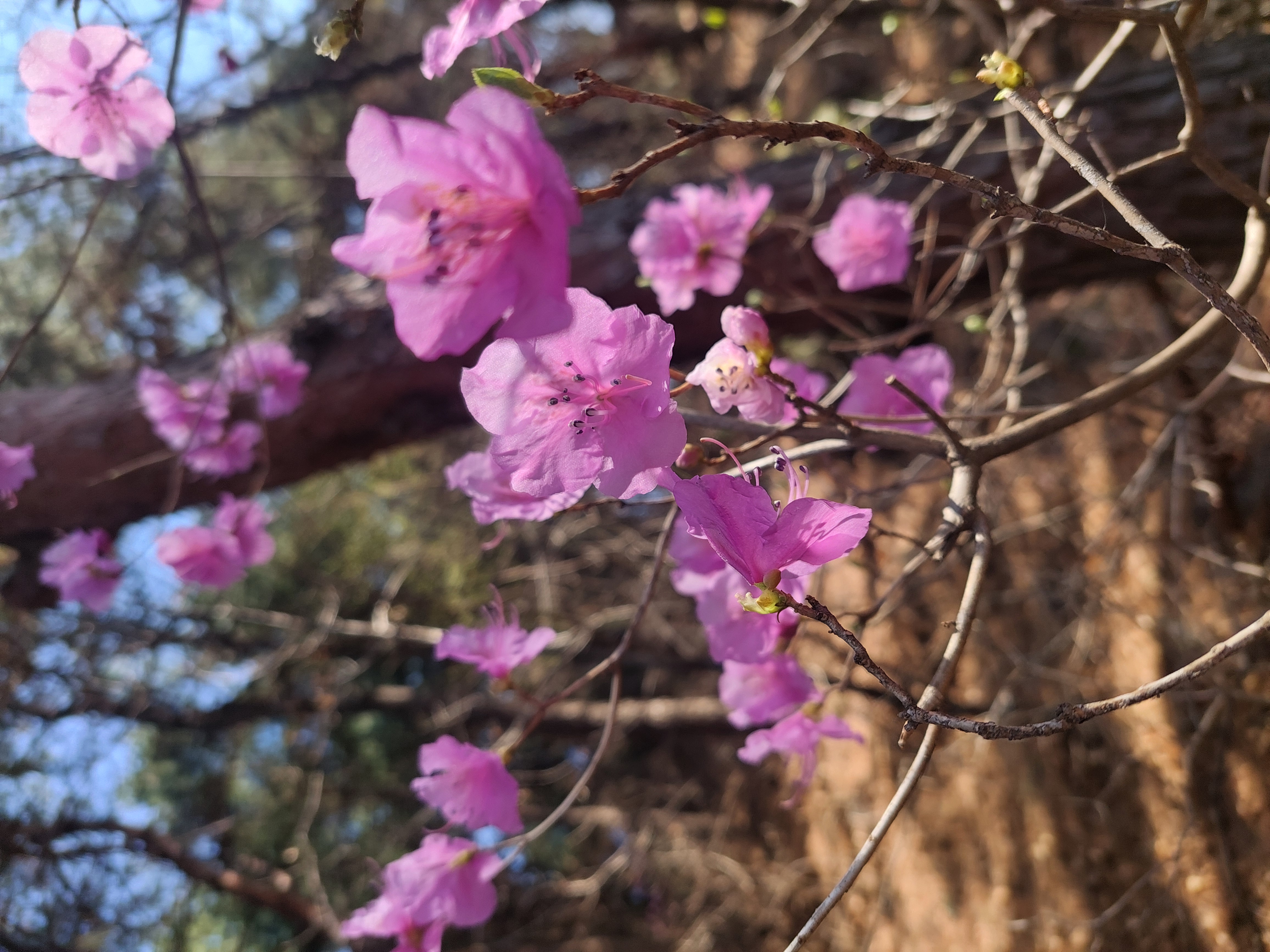 안산