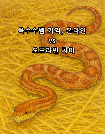 옥수수뱀 가격, 온라인 vs 오프라인 차이