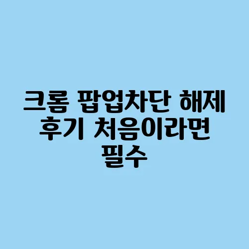 크롬 팝업차단 해제 후기 처음이라면 필수