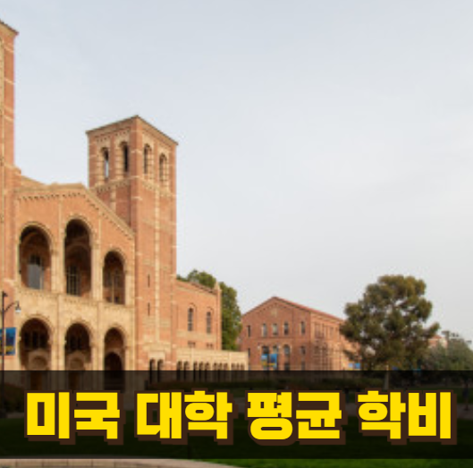 미국 대학교 평균 학비