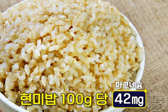 마그네슘 많은 음식 현미 마그네슘 하루 권장량 부작용