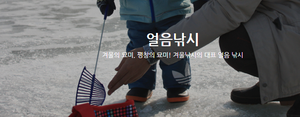 평창 송어축제