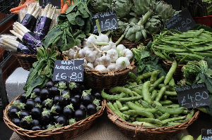 체질별 생식 적용 가이드! 알고 먹어야 건강합니다!