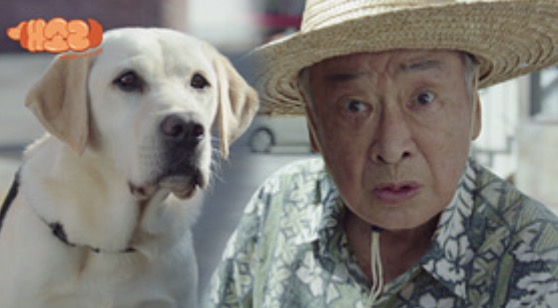 드라마 개소리 비하인트 컷