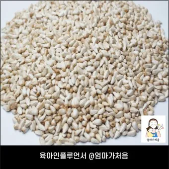 홍화씨 효능 영양성분 홍화씨유 먹는법_17