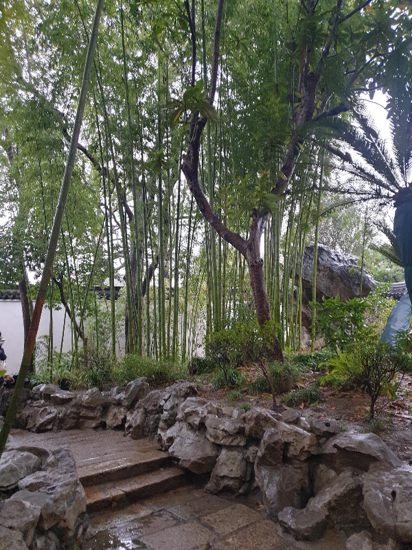 돌과 계단 그리고 그 뒤의 푸른 대나무가 계절을 다르게 보이게 한다.