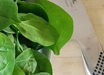 글루타치온 효능