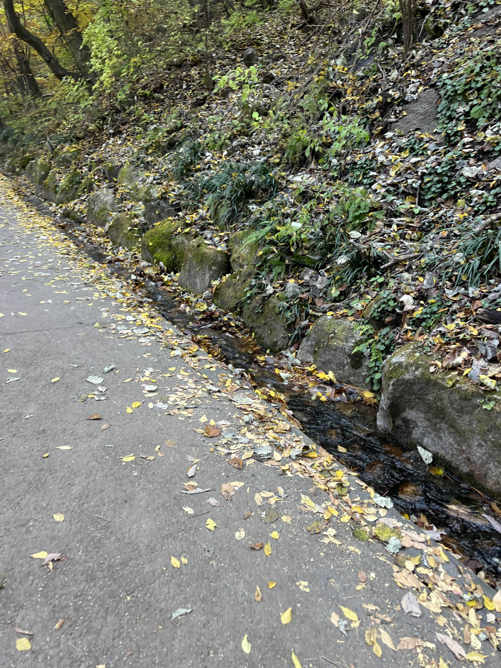 단풍명소 용문사