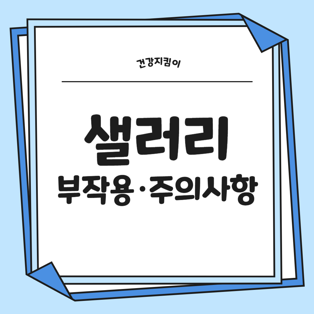샐러리 효능 먹는법 부작용 고르는법 칼로리