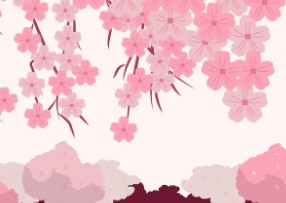 일본-벚꽃-개화시기-5