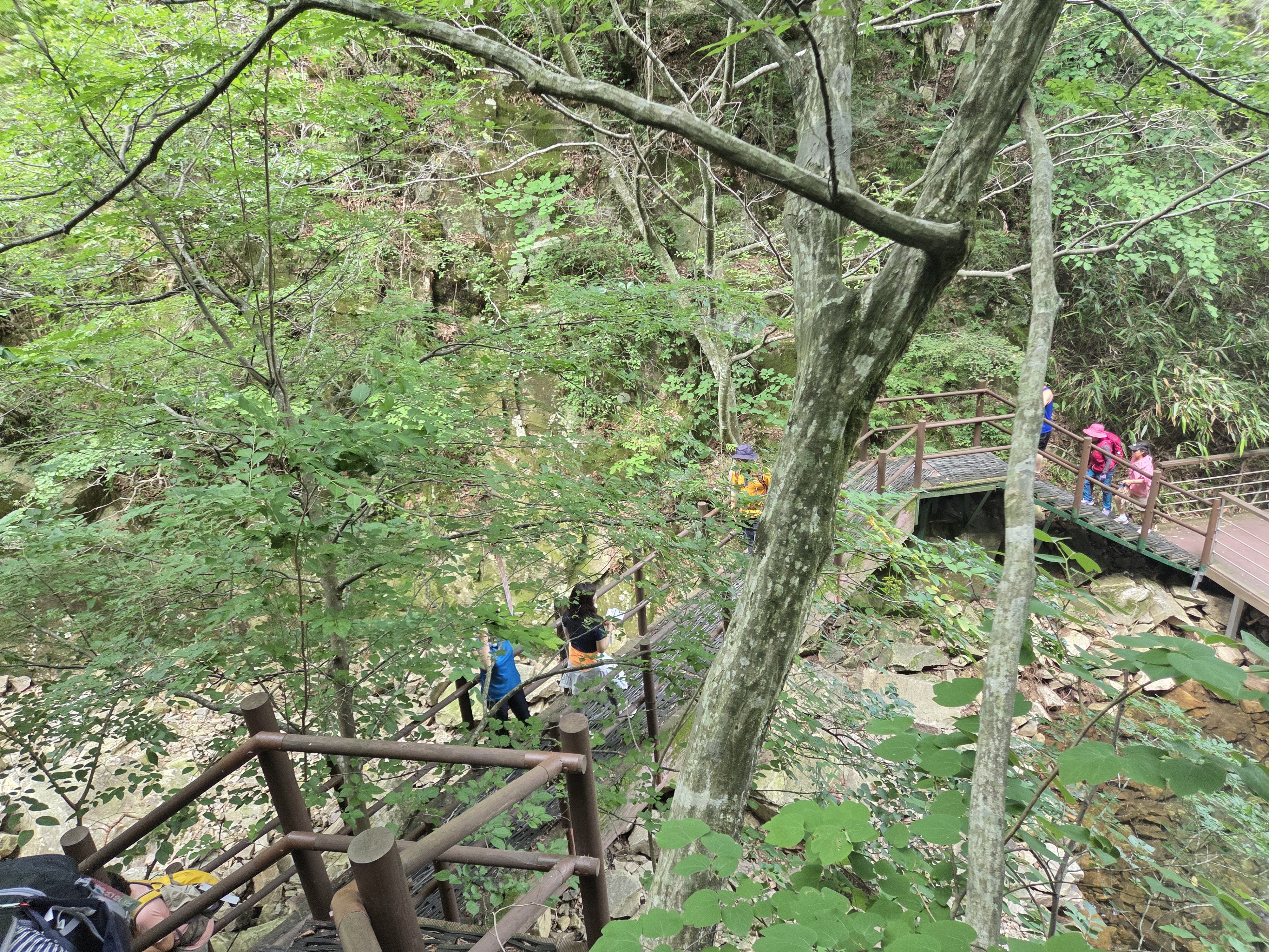 아산 반야산악회 대둔산 등산