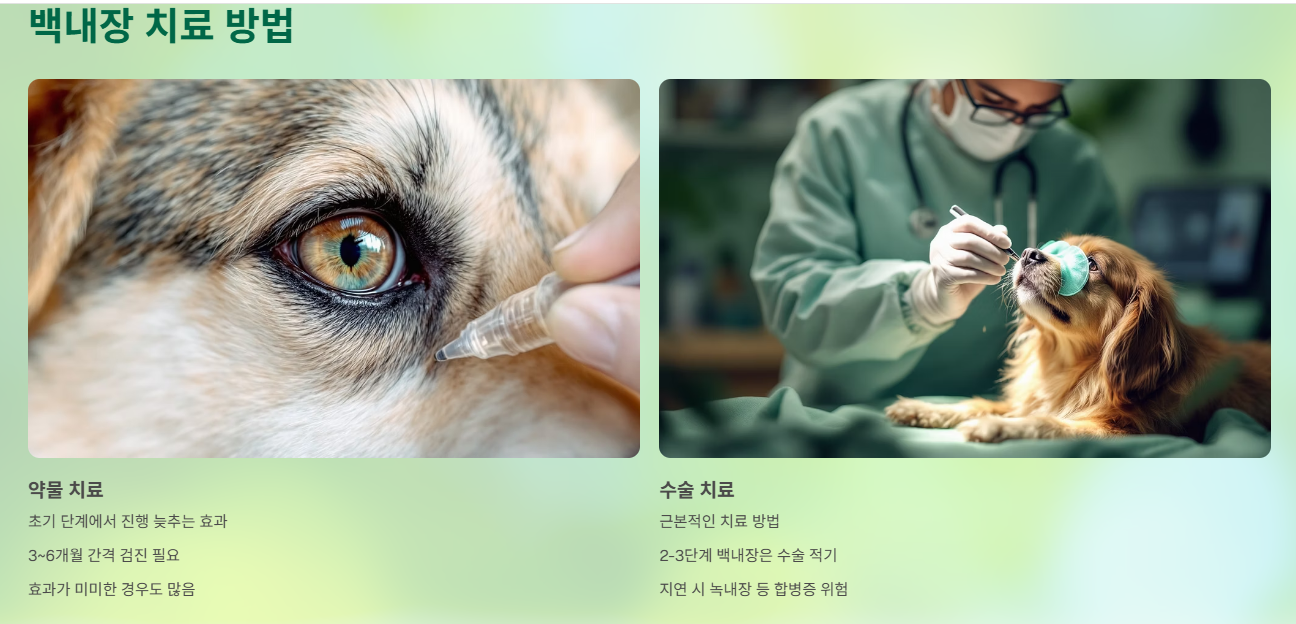 백내장 치료법