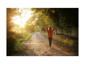 변비에 좋은 음식