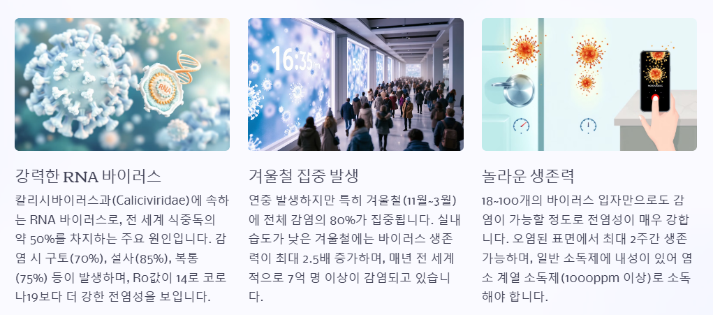 노로 바이러스란?