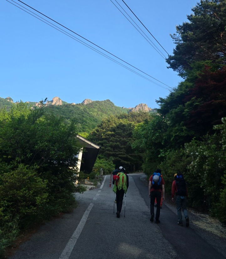 천등산 등산로 초입