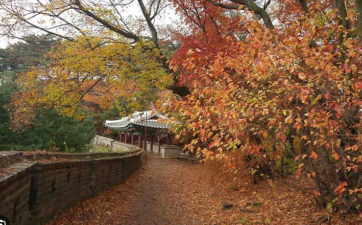 남한산성 단풍