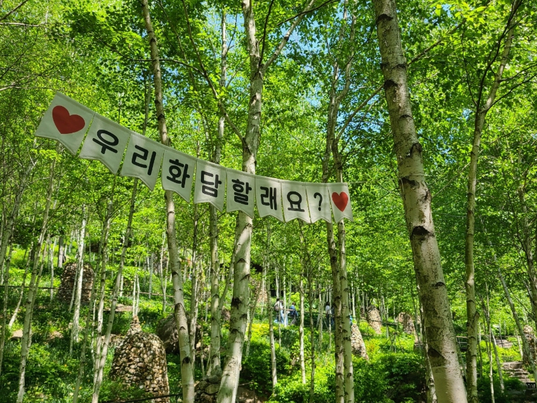 5~6월 화담숲 가볼만한 이유 6가지 - 수국축제부터 모노레일까지!