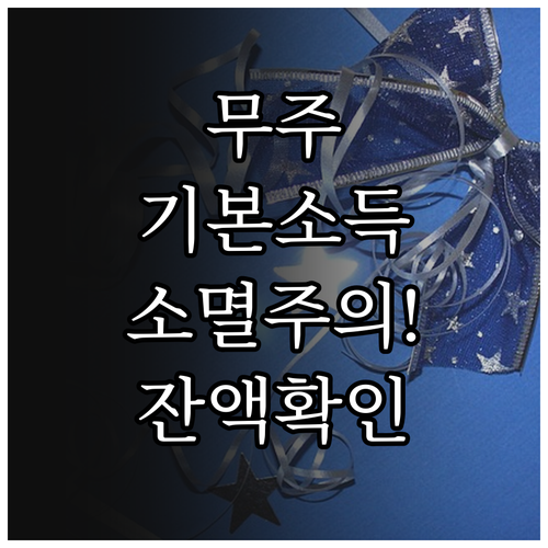 무주 기본소득 상품권 유효기간 확인과..