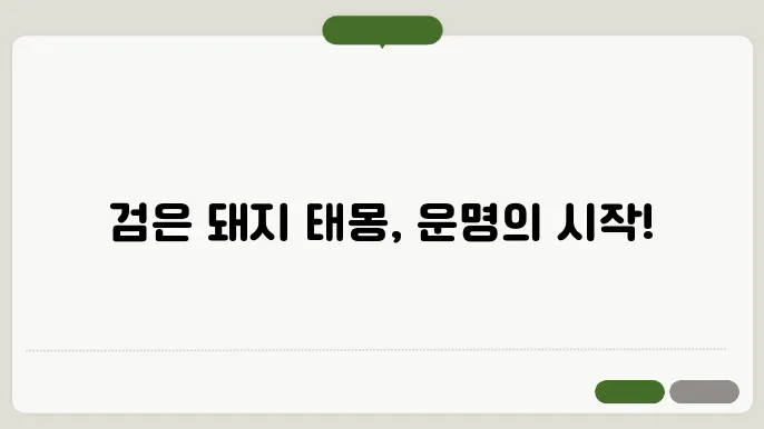 검은 돼지 태몽