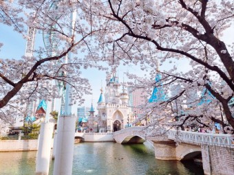 석촌호수 벚꽃축제 주차장