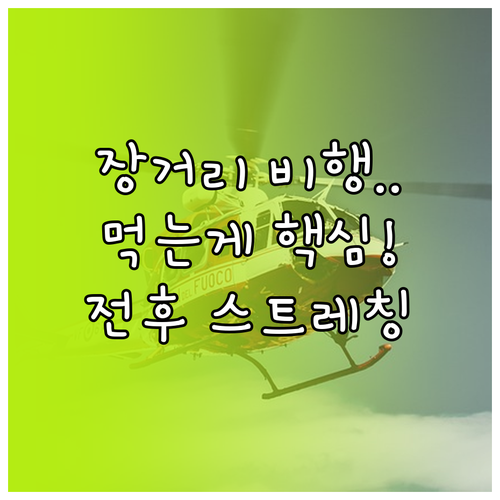 비행 전후 몸 상태 유지하는 음식 선..