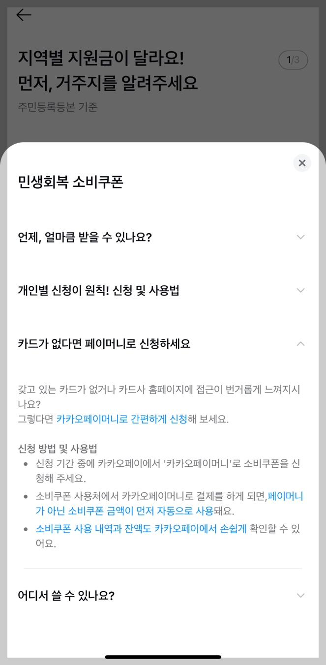 민생회복 소비쿠폰 카카오 페이 가이드 4