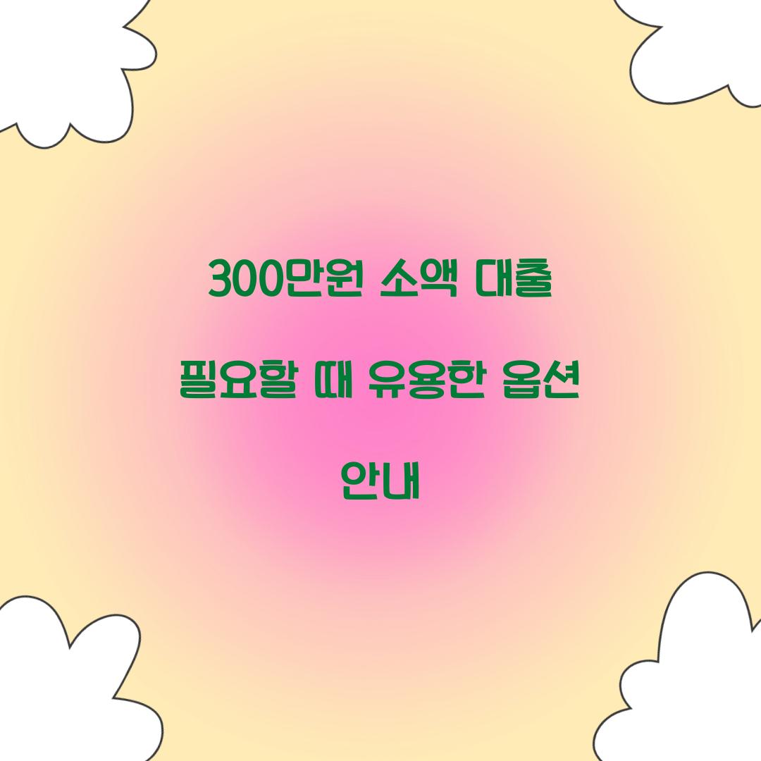 300만원 소액 대출
