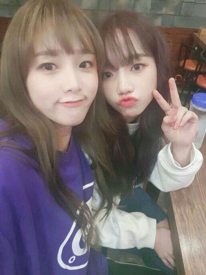 아이즈원 프로듀스48 사진 모음