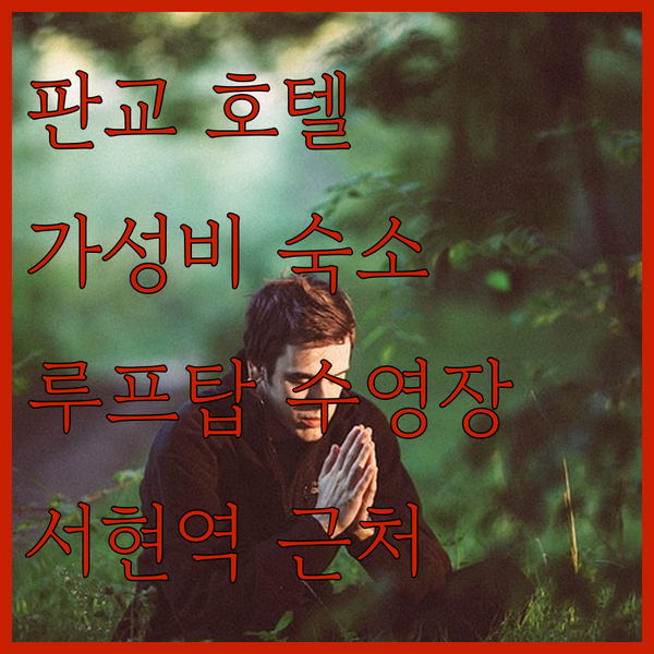 판교 호텔 스카이파크 센트럴 서울, ..