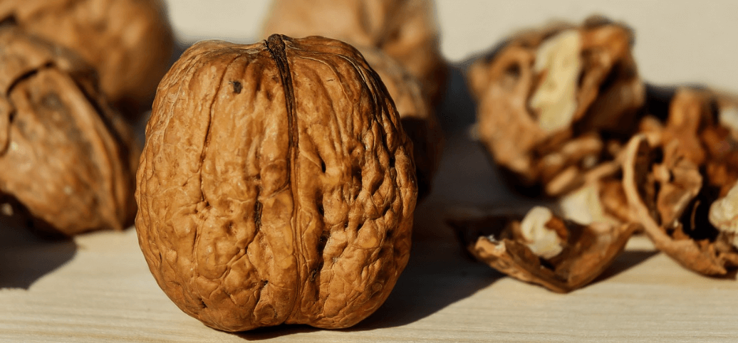 뇌에 좋은 음식 - 00161