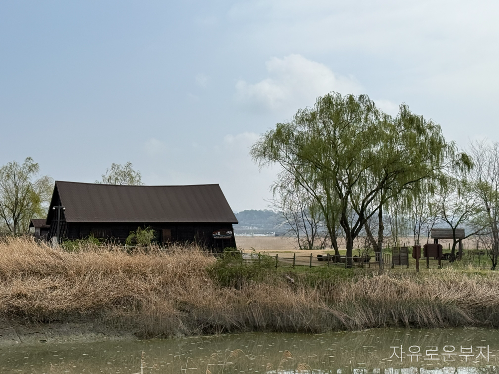 시흥갯골생태공원 명소