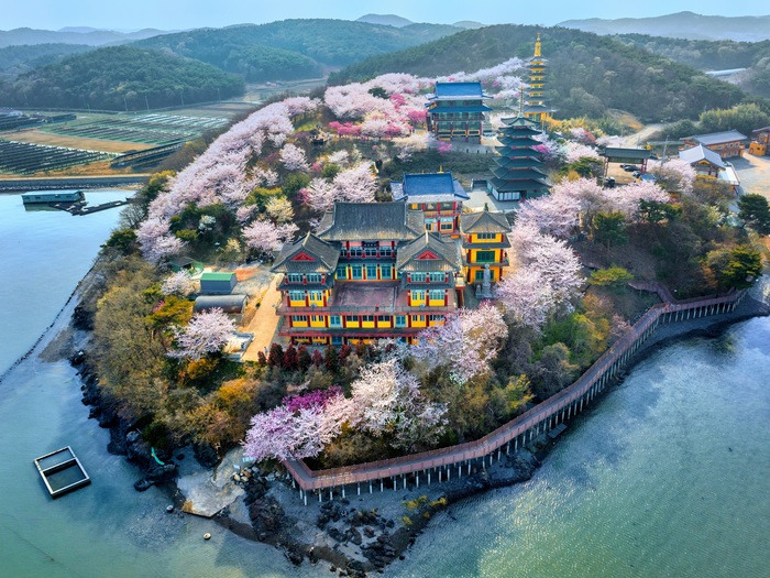 태안 안면암 가는 길부터 포토존 명소까지 완벽 가이드