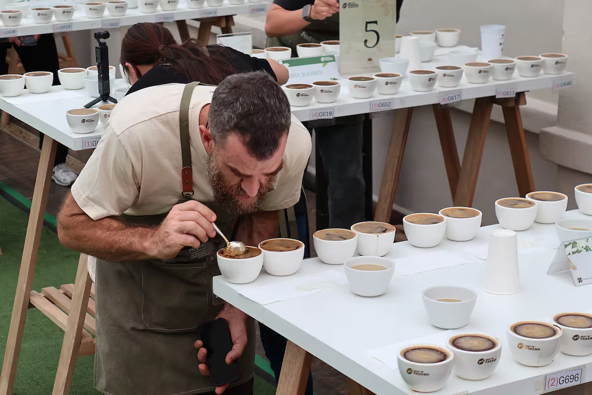 라 에스메랄다 농장(Hacienda la Esmeralda)에서 내놓은 워시드 게이샤 커피 최고가 낙찰