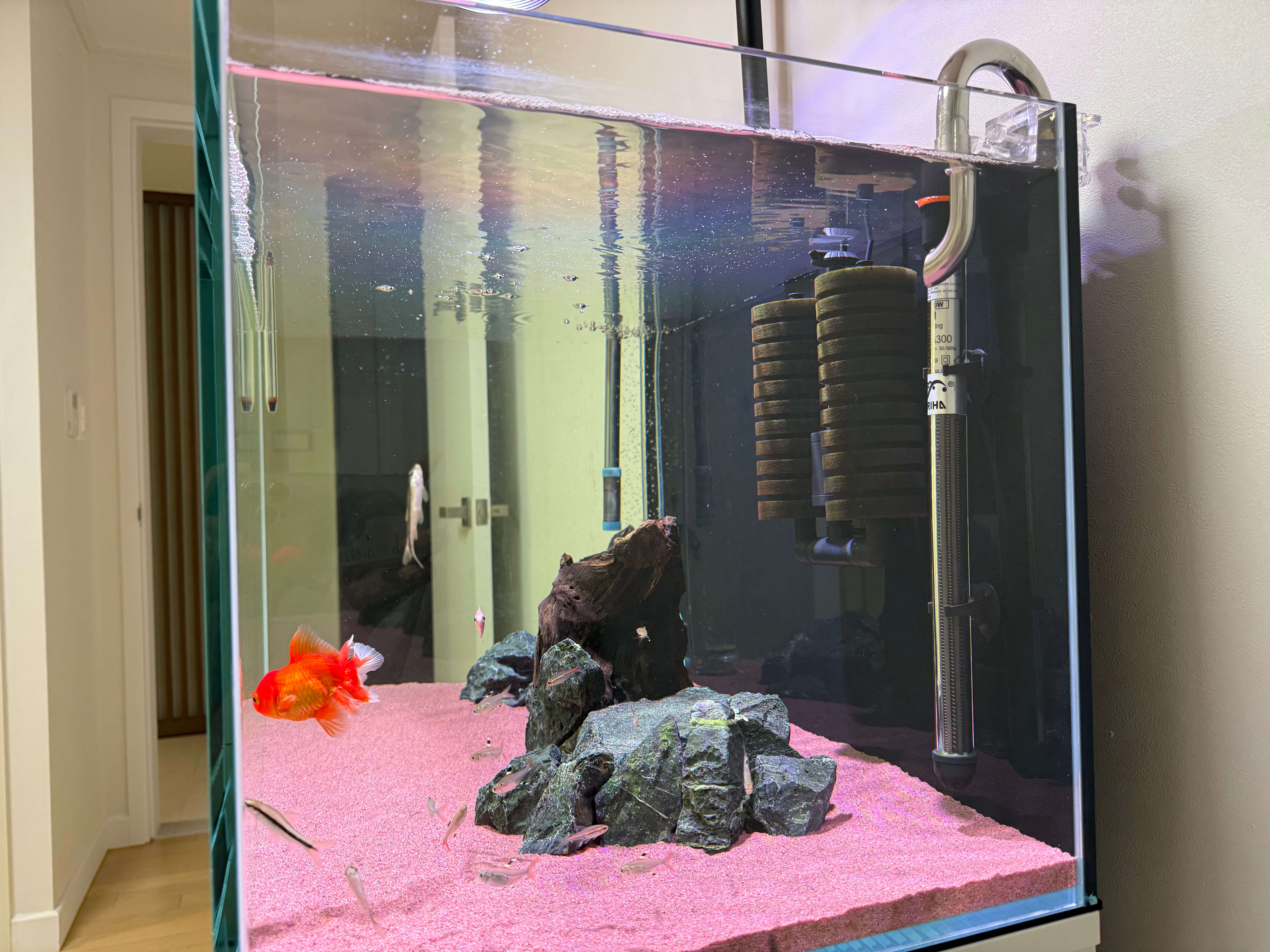 어항 히터 추천