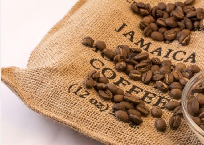 자메이카 커피
