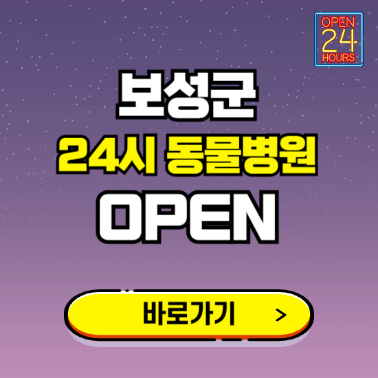 보성군 24시 동물병원 진료하는 곳 ❘ 설날 휴일 야간 심야 문여는곳 찾기 ❘ 응급진료