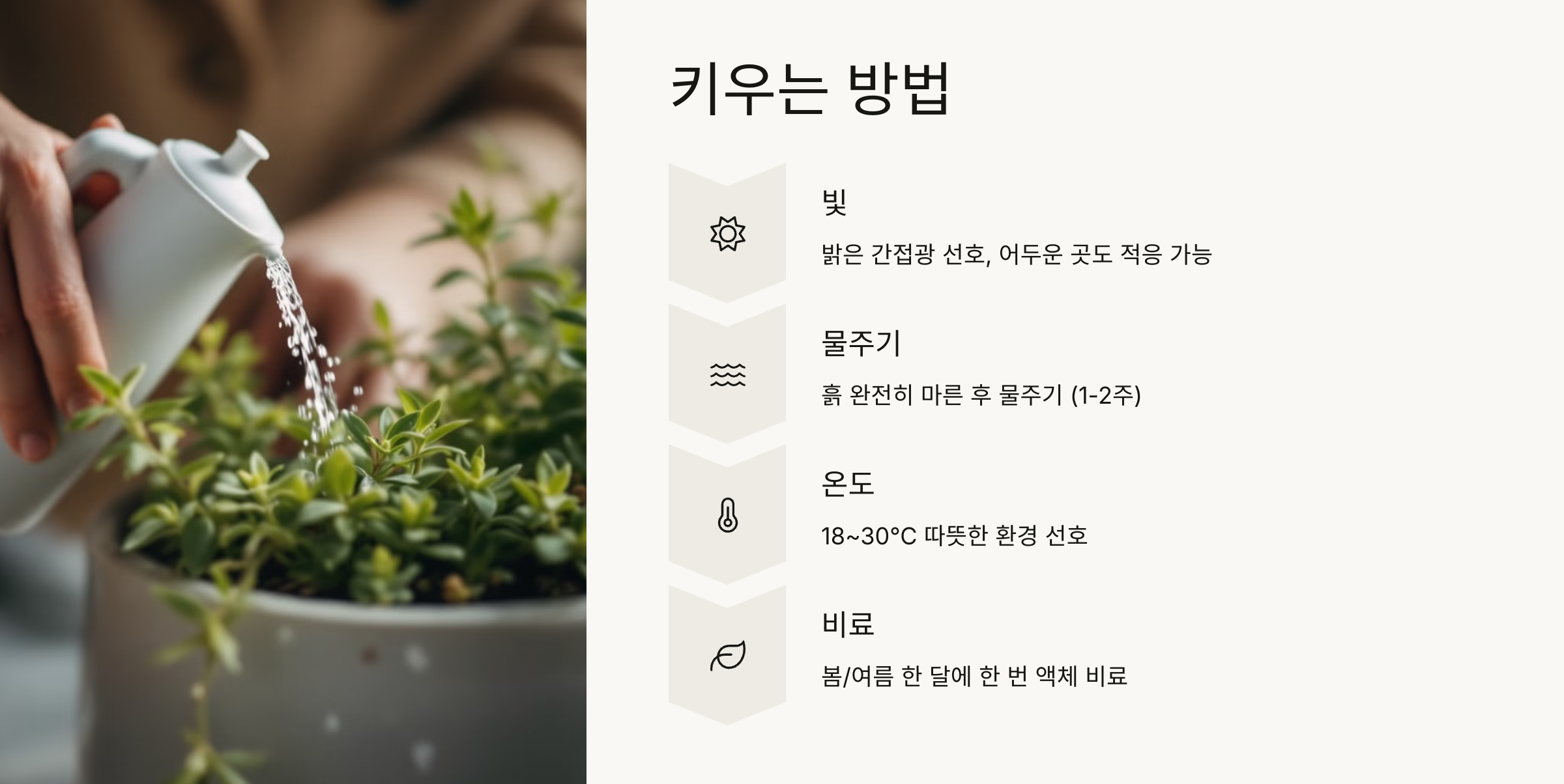 스킨답서스 사진