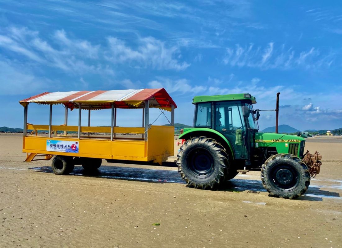 선도리갯벌체험장