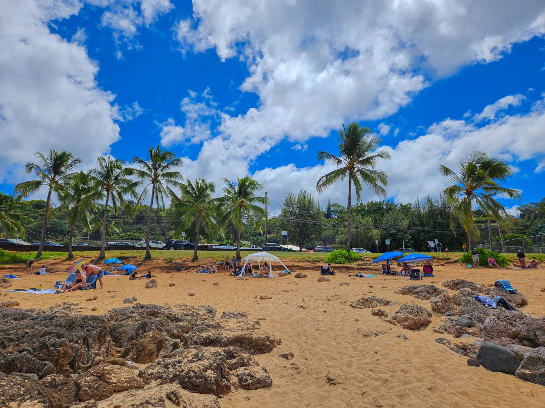 하와이 샥스코브 스노쿨링