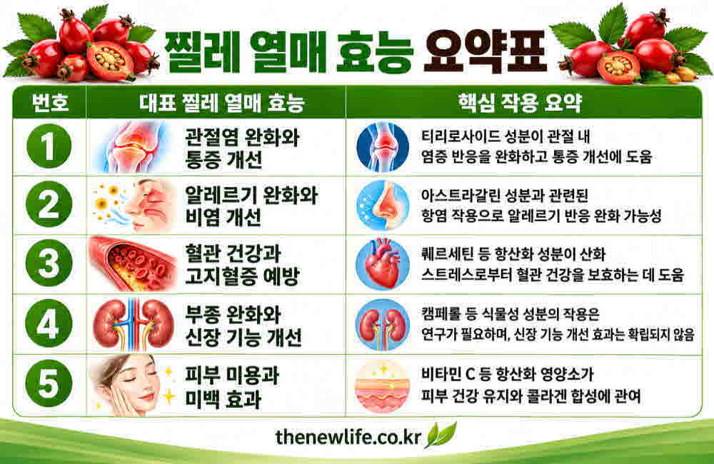 찔레 열매효능 요약표