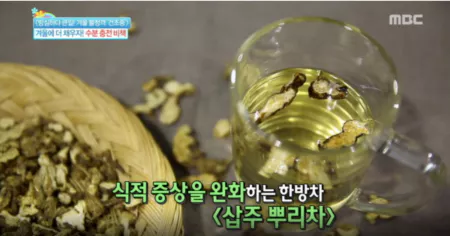 백출(삽주뿌리)차