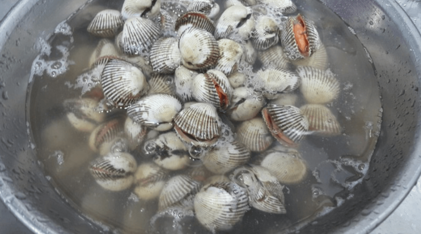 대야에 들은 꼬막