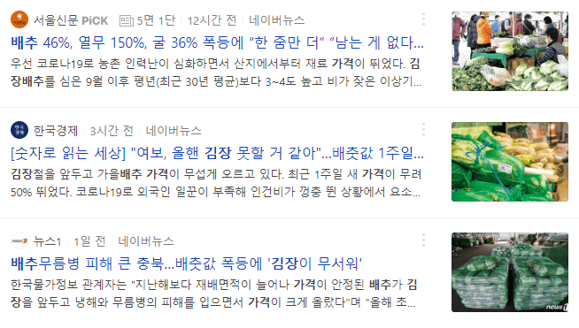 김장배추 가격이 올라서 올해 김장은 부담스러워 보이는 관련 뉴스 기사