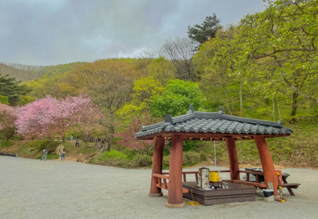 서산 1인 가구에 맞는 동네 추천 — 서산에서 1인 가구 동네 선택은 생활비와 생활 편의의 균형 문제다