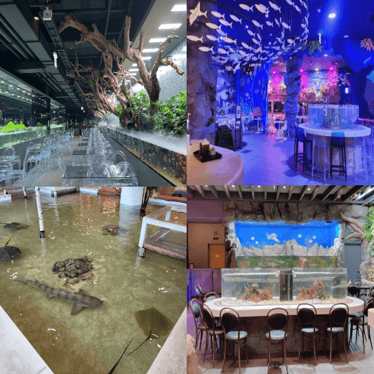 아쿠아카페-썸네일