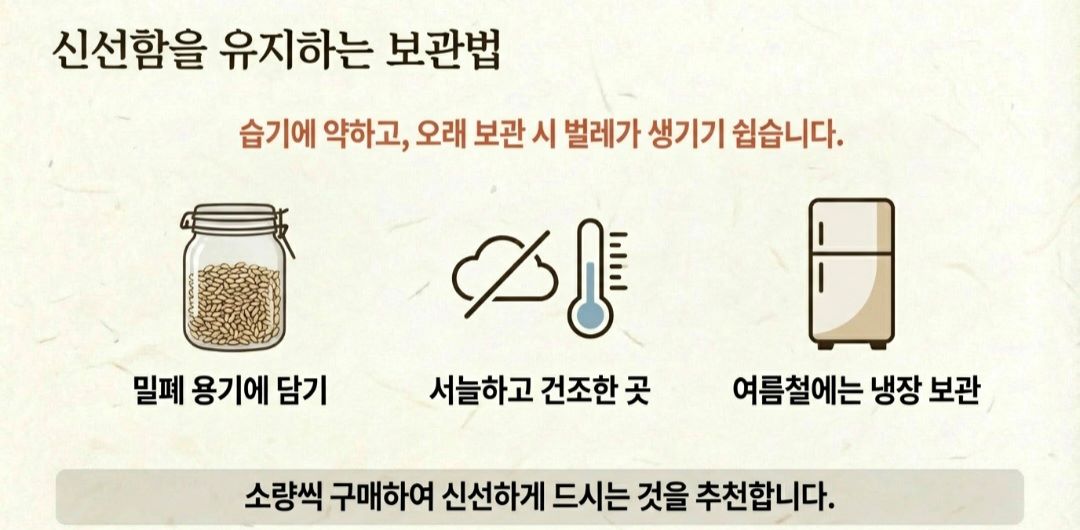 늘보리-사진1