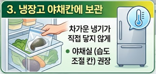 아보카도 보관법