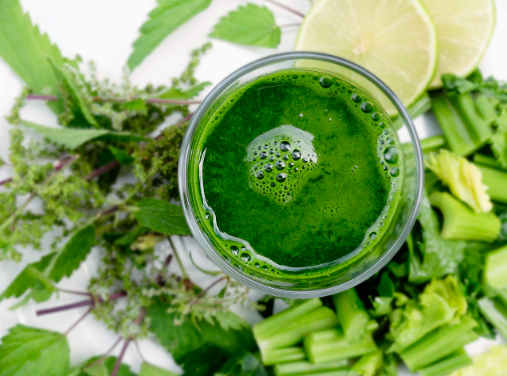 노인 면역력 강화 방법